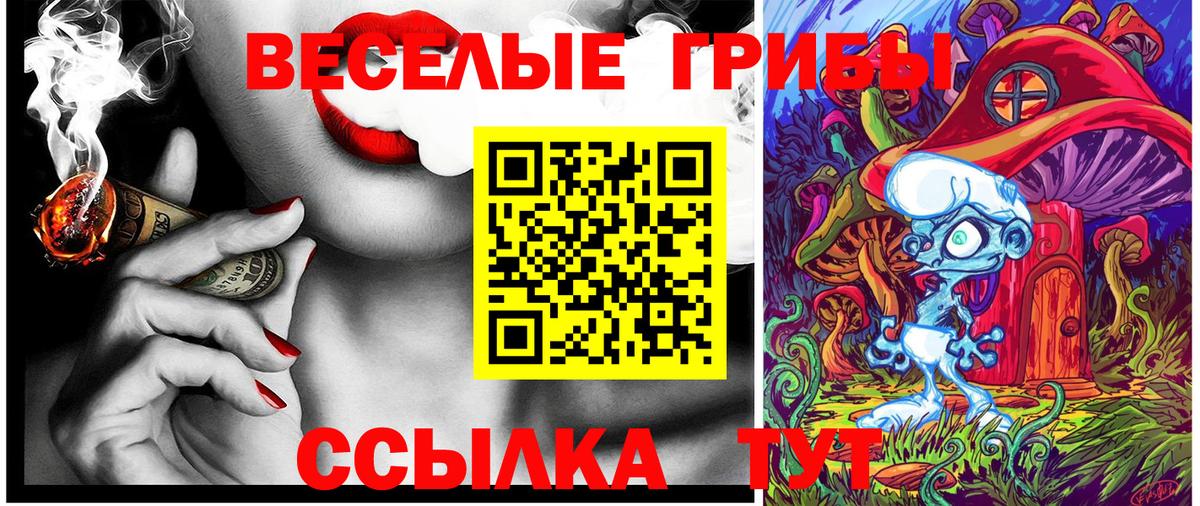 Псилоцибиновые грибы MAGIC MUSHROOMS  Вход с VPN  Шахты 