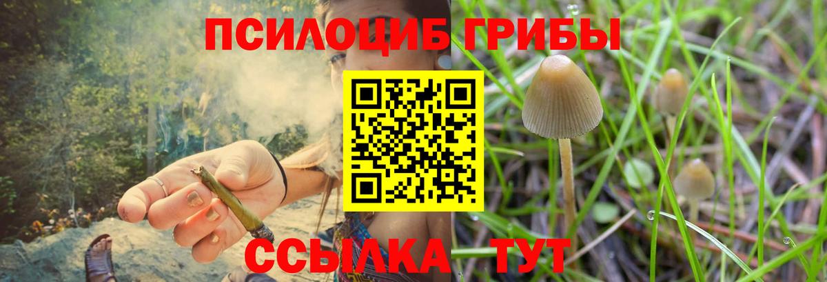Псилоцибиновые грибы ЛСД Шахты